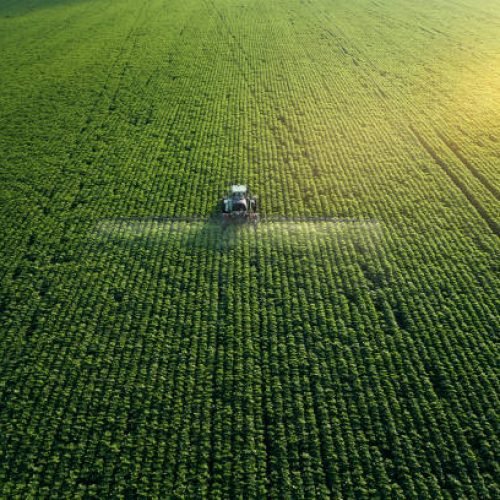 Tracking shot. Drone point of view of a Tractor spraying on a cultivated field. Small Business.